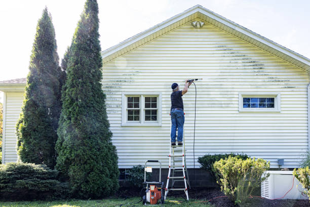 Boat and Dock Cleaning in Rural Hall, NC
